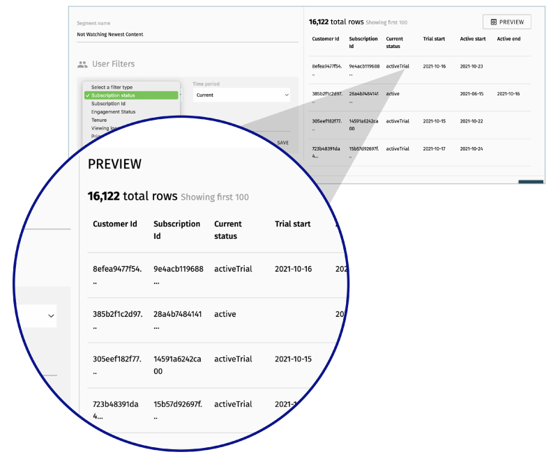 Audience Insights Segment User preview filter information