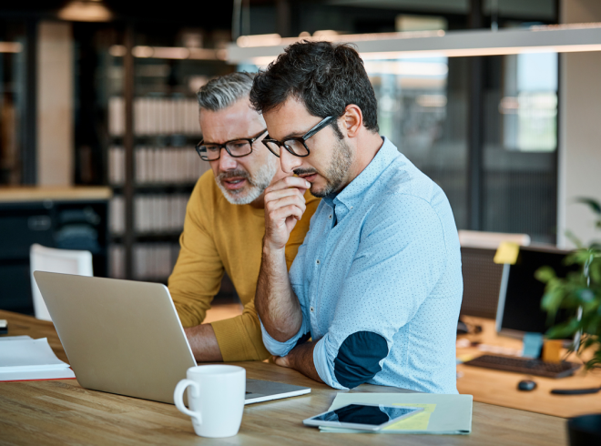 Company team members reviewing a project